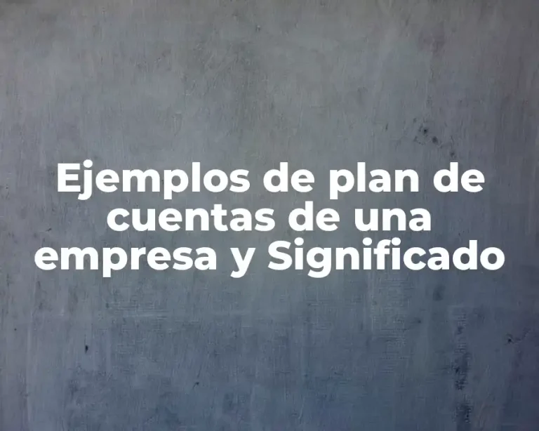 Ejemplos de plan de cuentas de una empresa y Significado