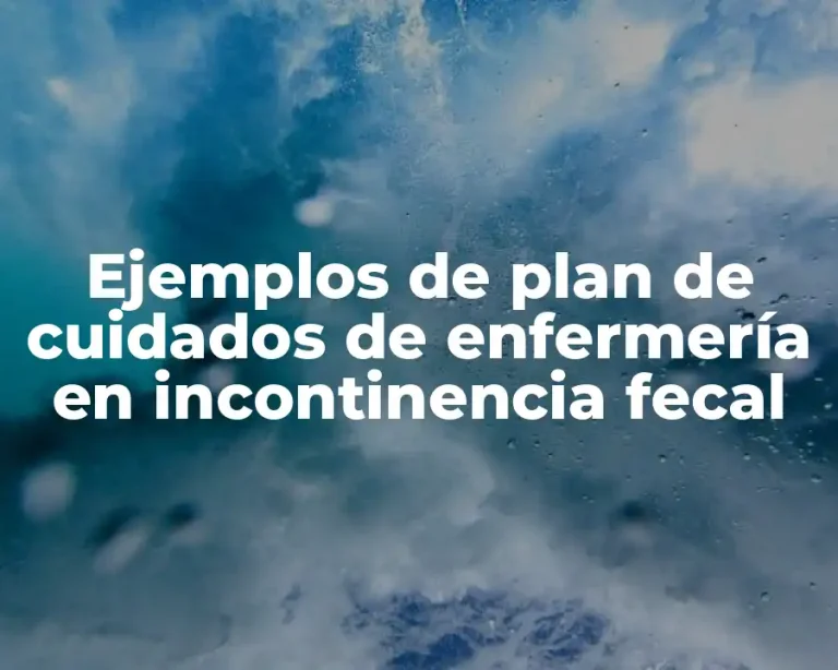 Ejemplos de plan de cuidados de enfermería en incontinencia fecal