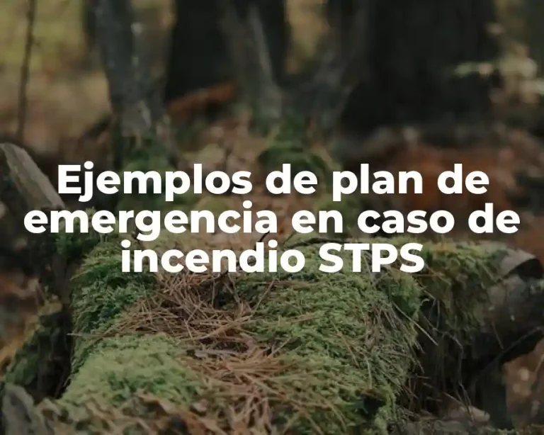Ejemplos de plan de emergencia en caso de incendio STPS