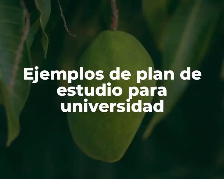 Ejemplos de plan de estudio para universidad