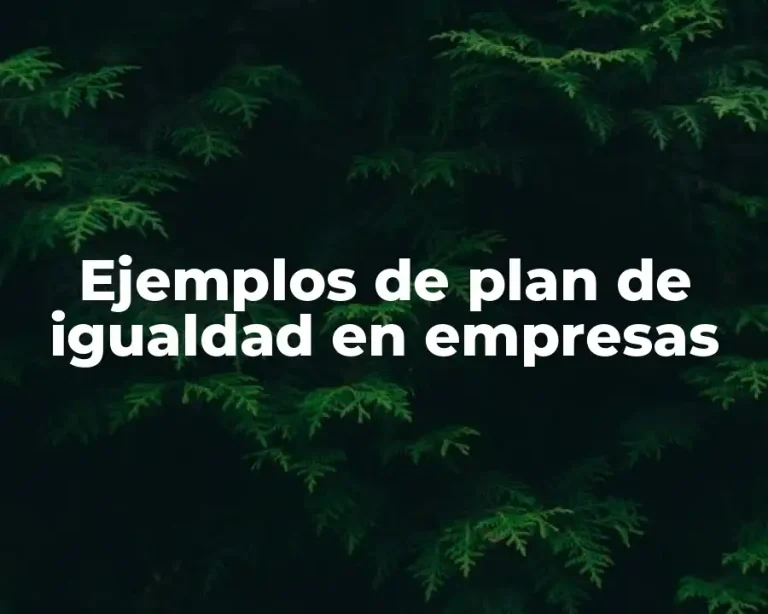 Ejemplos de plan de igualdad en empresas