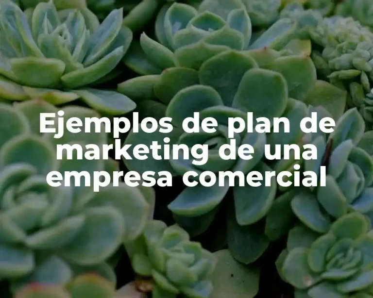 Ejemplos de plan de marketing de una empresa comercial
