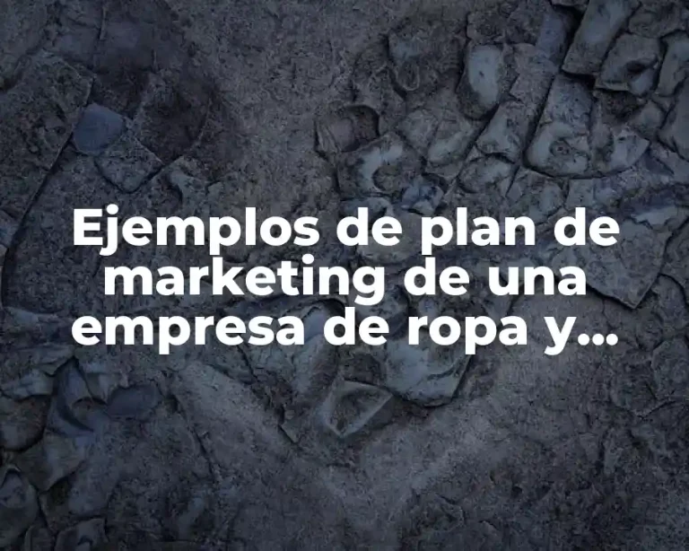 Ejemplos de plan de marketing de una empresa de ropa y Significado