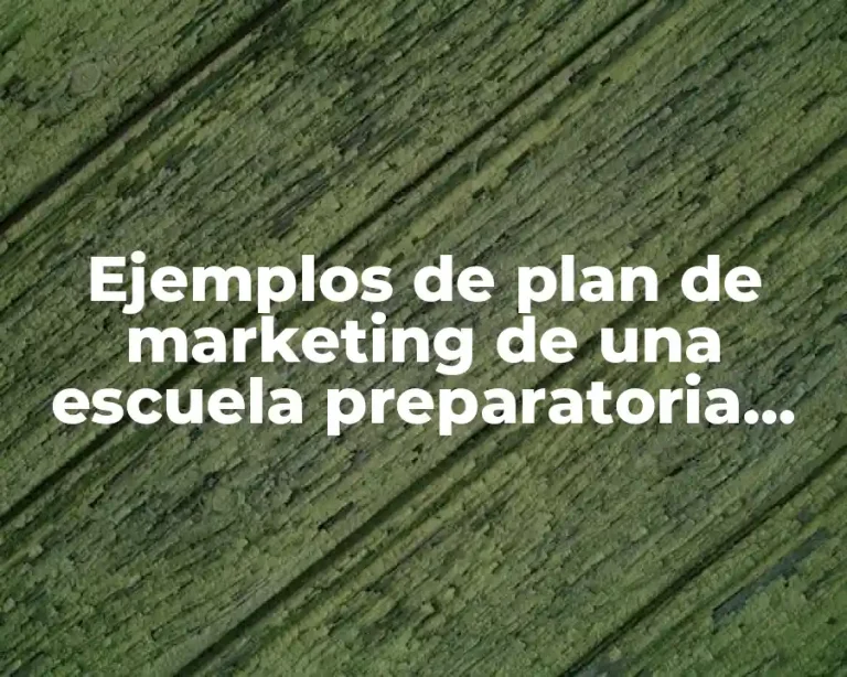 Ejemplos de plan de marketing de una escuela preparatoria nueva