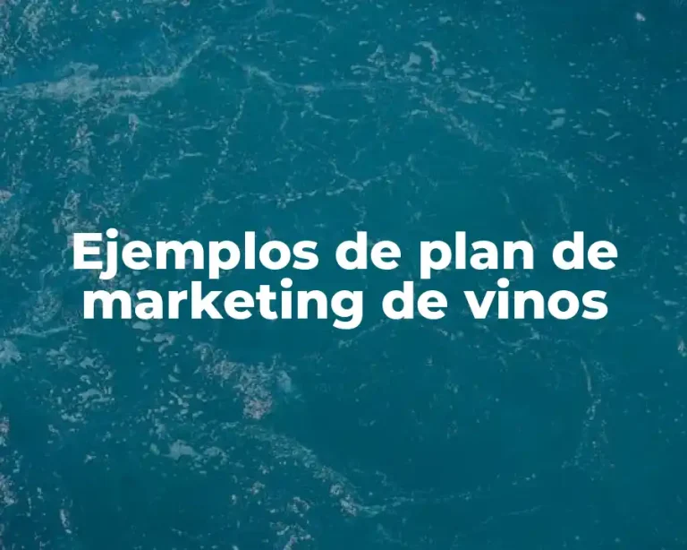 Ejemplos de plan de marketing de vinos