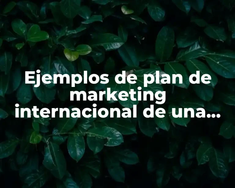 Ejemplos de plan de marketing internacional de una empresa mexicana
