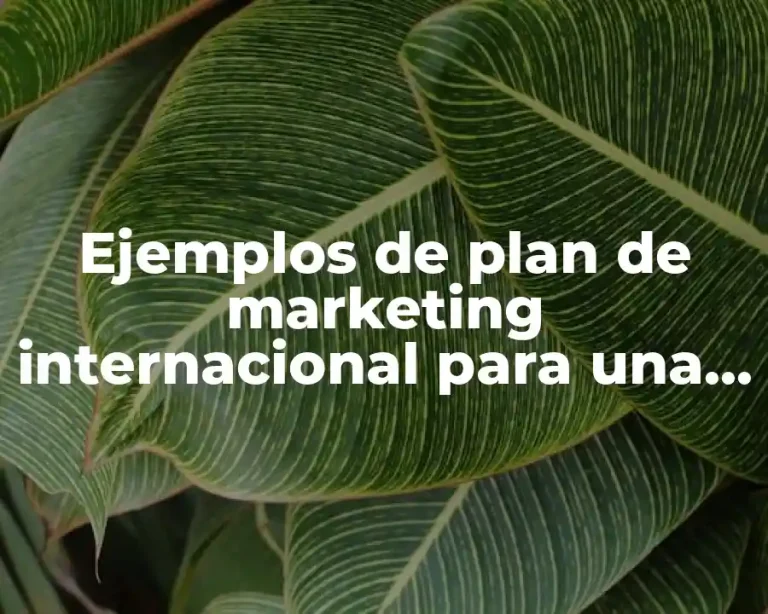 Ejemplos de plan de marketing internacional para una empresa mexicana