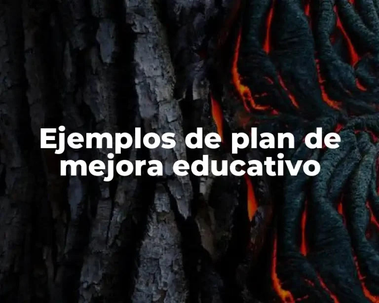 Ejemplos de plan de mejora educativo