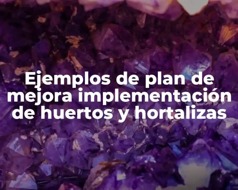 Ejemplos de plan de mejora implementación de huertos y hortalizas