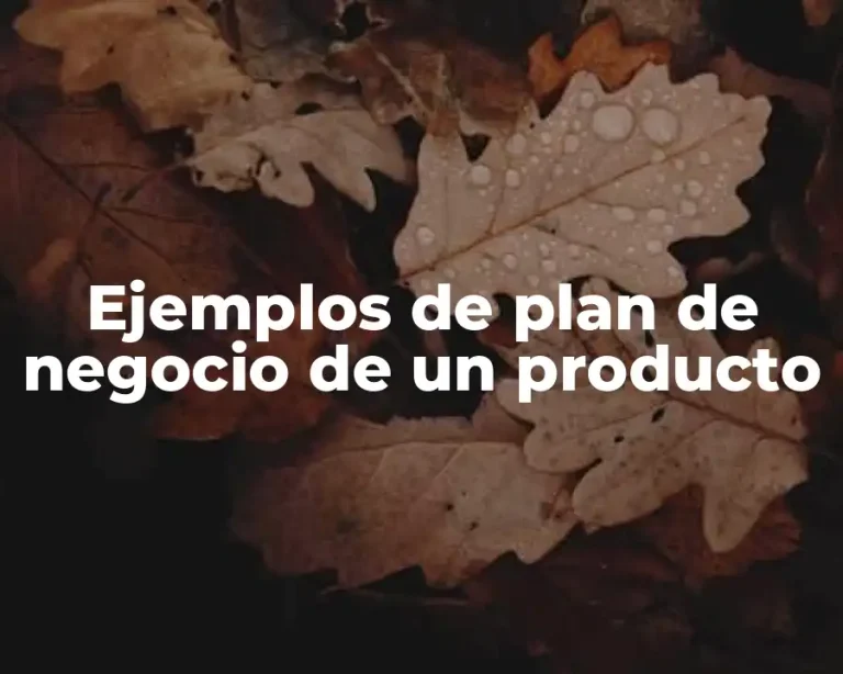 Ejemplos de plan de negocio de un producto