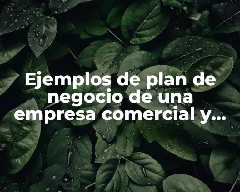 Ejemplos de plan de negocio de una empresa comercial y Significado