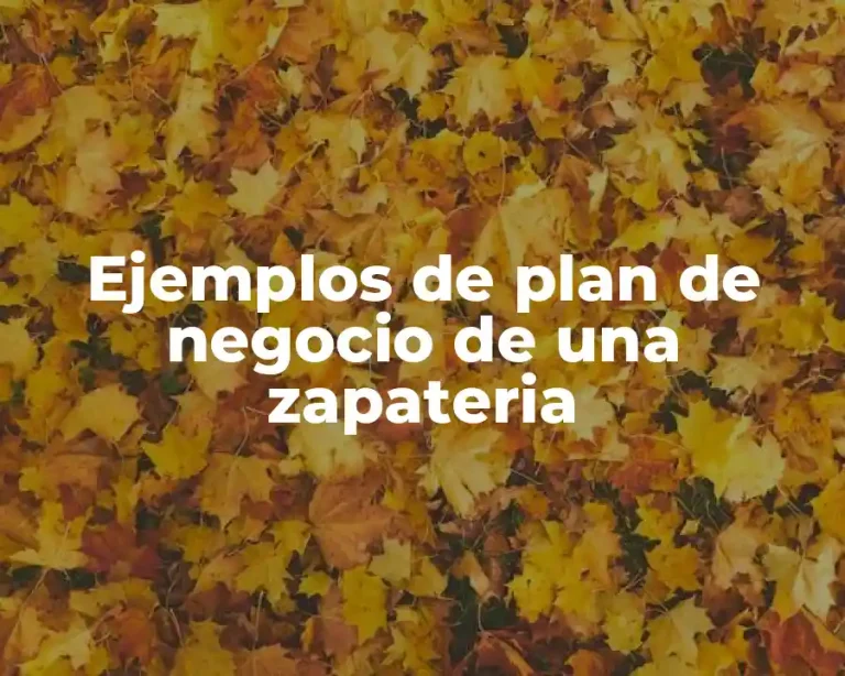 Ejemplos de plan de negocio de una zapateria