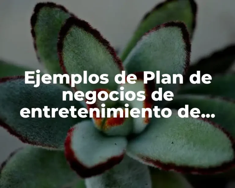 Ejemplos de Plan de negocios de entretenimiento de fiestas infantiles