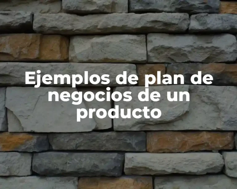 Ejemplos de plan de negocios de un producto
