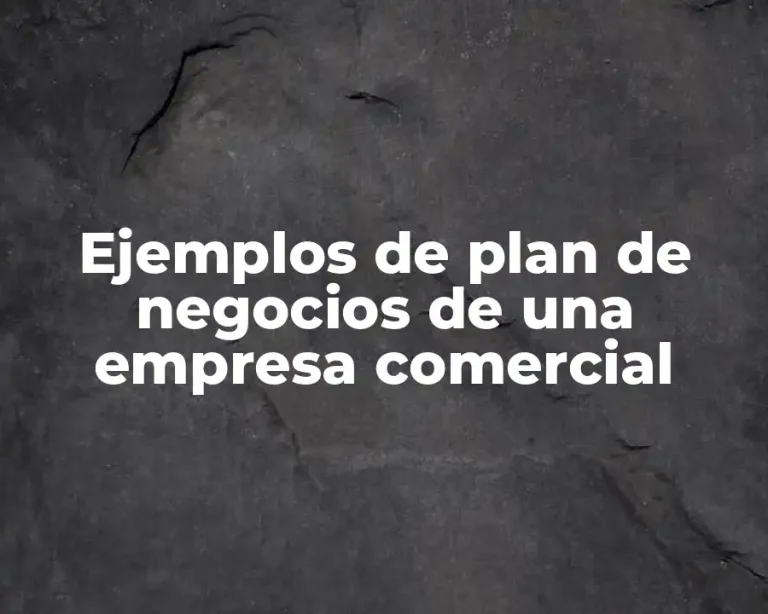 Ejemplos de plan de negocios de una empresa comercial