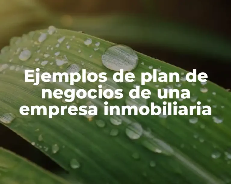 Ejemplos de plan de negocios de una empresa inmobiliaria