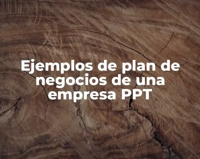 Ejemplos de plan de negocios de una empresa PPT
