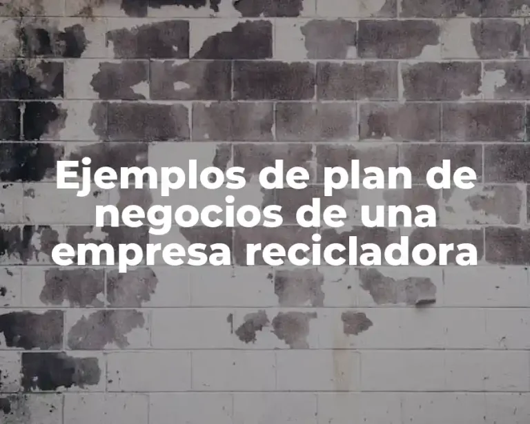 Ejemplos de plan de negocios de una empresa recicladora