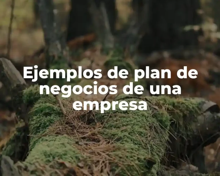 Ejemplos de plan de negocios de una empresa