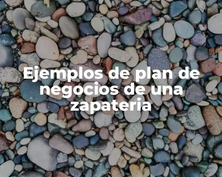 Ejemplos de plan de negocios de una zapateria