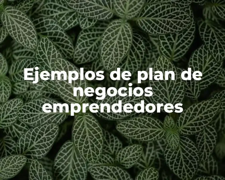 Ejemplos de plan de negocios emprendedores