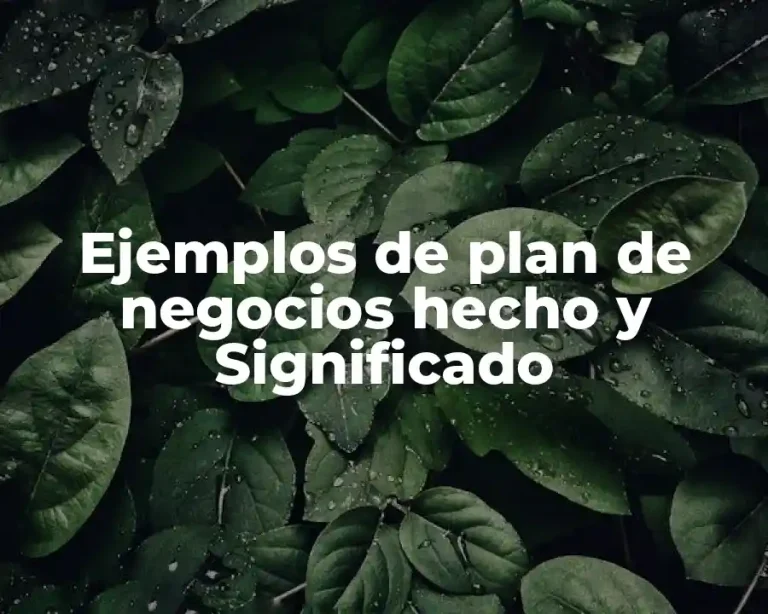 Ejemplos de plan de negocios hecho y Significado