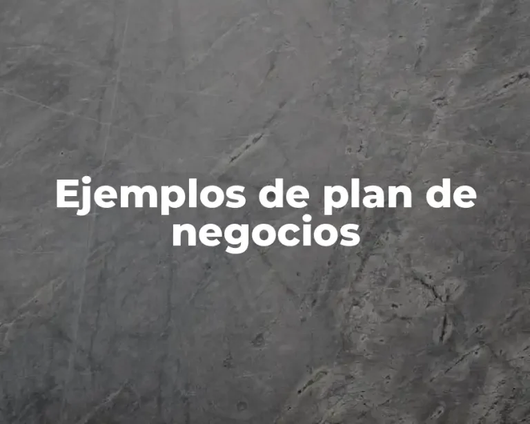 Ejemplos de plan de negocios