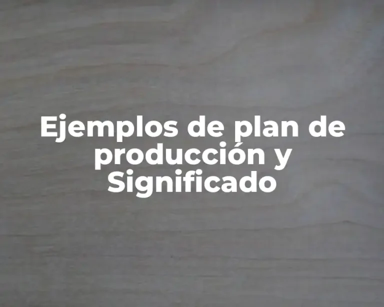 Ejemplos de plan de producción y Significado