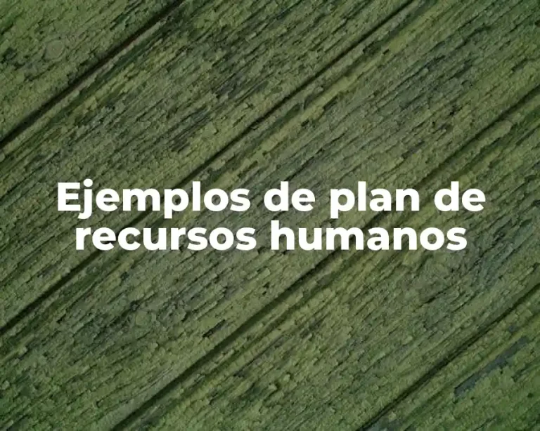 Ejemplos de plan de recursos humanos
