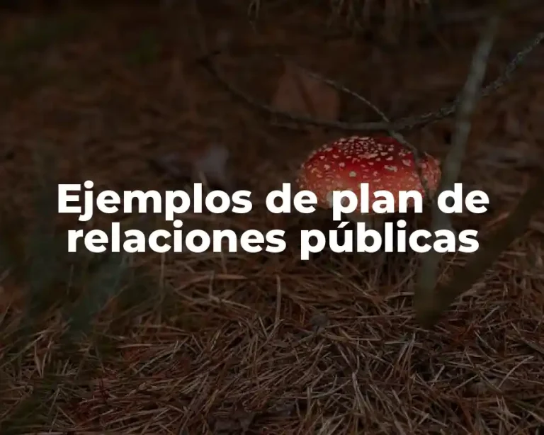 Ejemplos de plan de relaciones públicas
