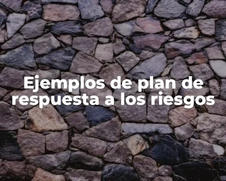 Ejemplos de plan de respuesta a los riesgos