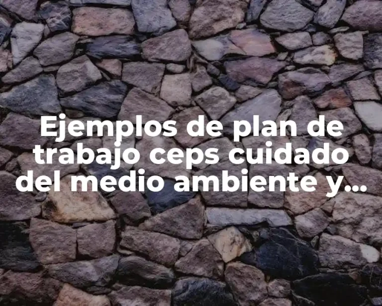 Ejemplos de plan de trabajo ceps cuidado del medio ambiente y Significado