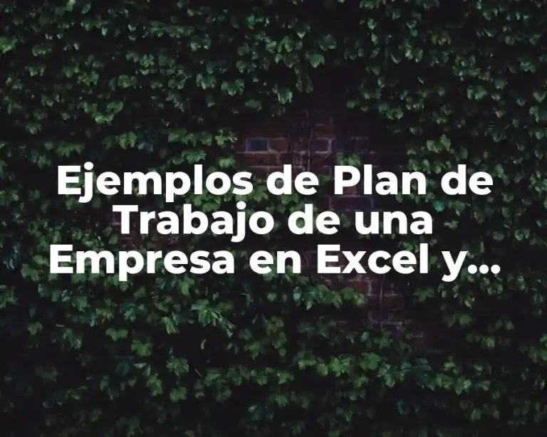 Ejemplos de Plan de Trabajo de una Empresa en Excel y Significado
