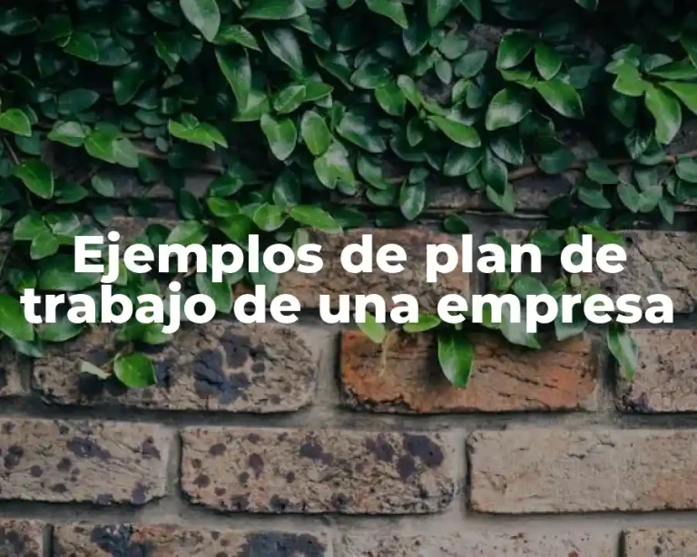 Ejemplos de plan de trabajo de una empresa