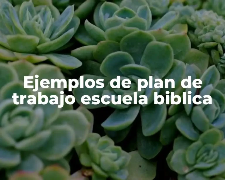 Ejemplos de plan de trabajo escuela biblica