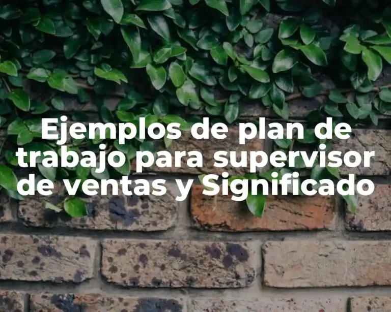 Ejemplos de plan de trabajo para supervisor de ventas y Significado