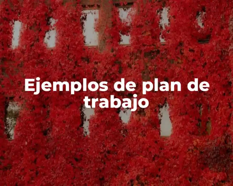 Ejemplos de plan de trabajo
