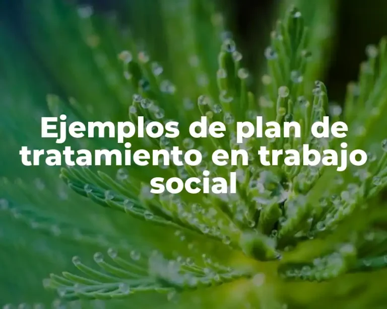 Ejemplos de plan de tratamiento en trabajo social