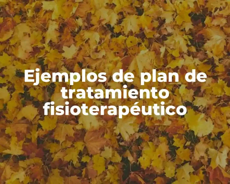 Ejemplos de plan de tratamiento fisioterapéutico