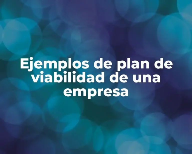 Ejemplos de plan de viabilidad de una empresa