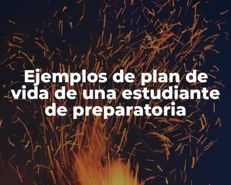 Ejemplos de plan de vida de una estudiante de preparatoria