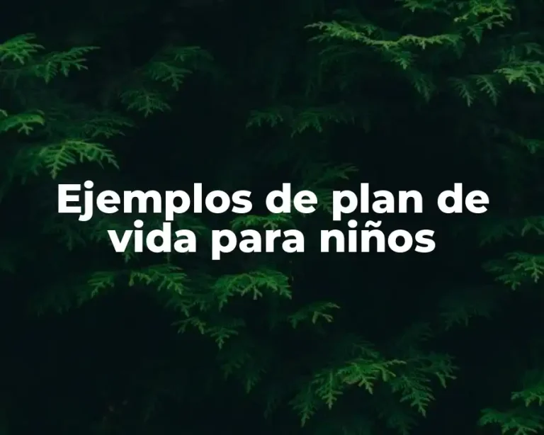 Ejemplos de plan de vida para niños
