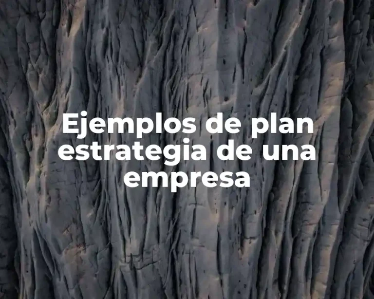 Ejemplos de plan estrategia de una empresa