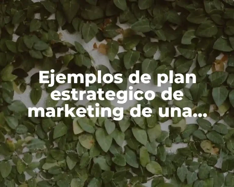 Ejemplos de plan estrategico de marketing de una empresa