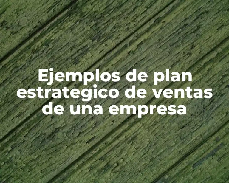 Ejemplos de plan estrategico de ventas de una empresa