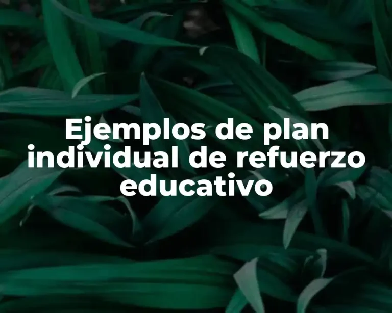 Ejemplos de plan individual de refuerzo educativo