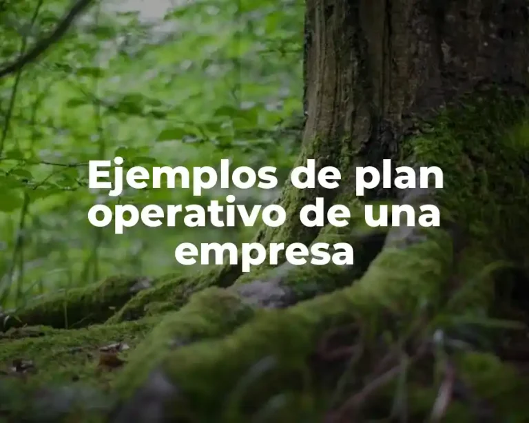 Ejemplos de plan operativo de una empresa