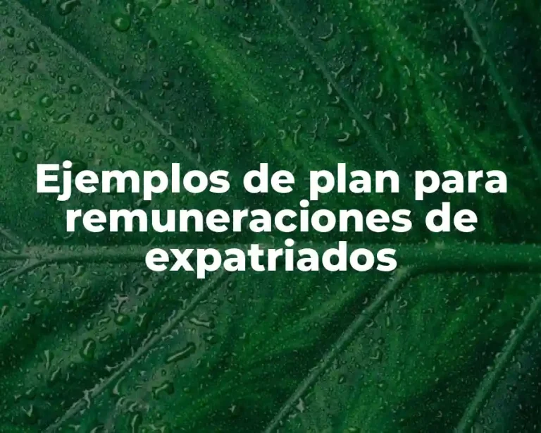 Ejemplos de plan para remuneraciones de expatriados