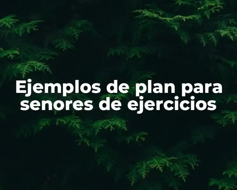 Ejemplos de plan para senores de ejercicios