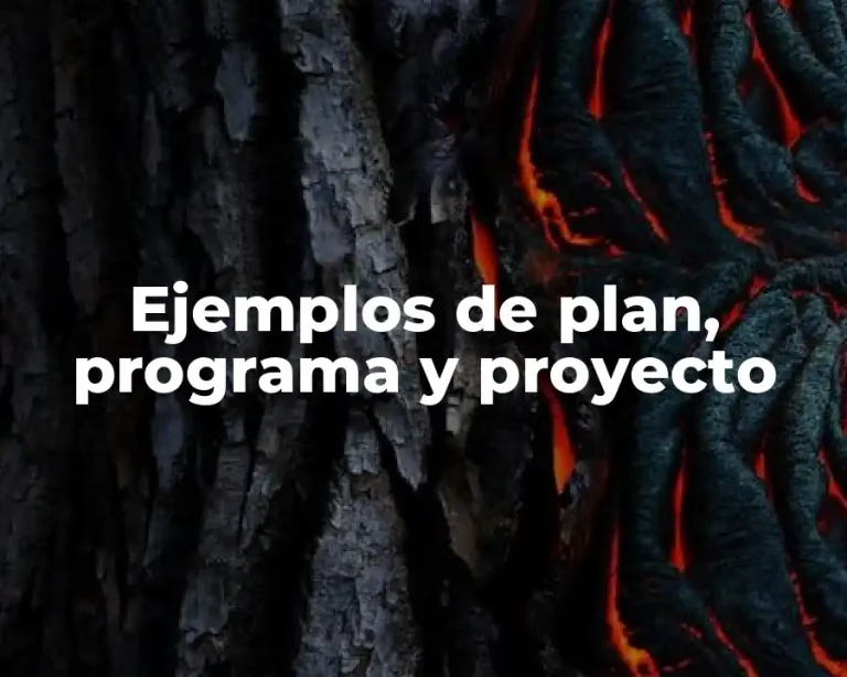 Ejemplos de plan, programa y proyecto